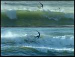 (05) montage (bob hall misc surfers).jpg    (950x720)    288 KB                              click to see enlarged picture